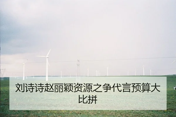 刘诗诗赵丽颖资源之争代言预算大比拼